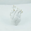 Anatomical Heart Resin Vase